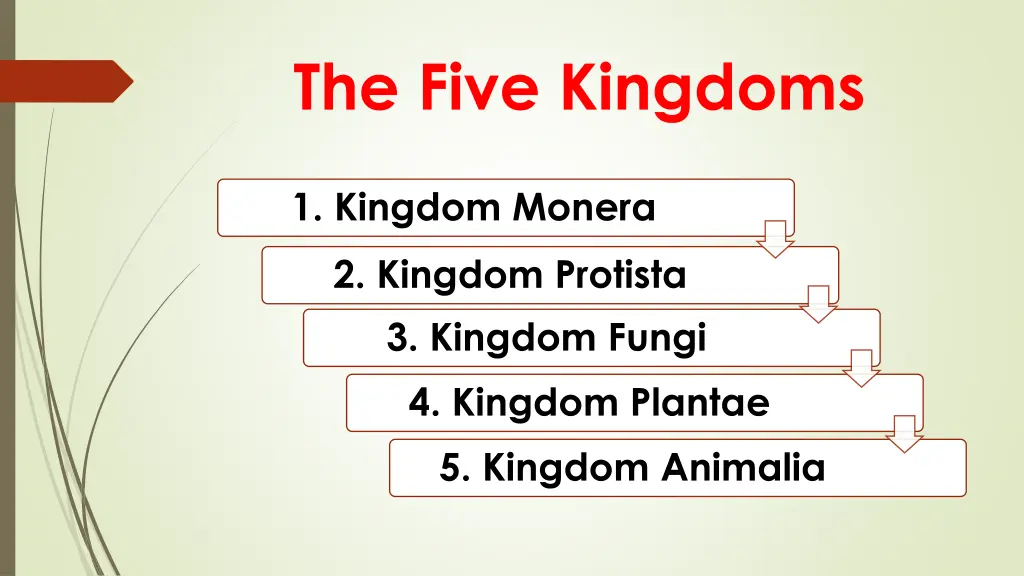 the five kingdoms