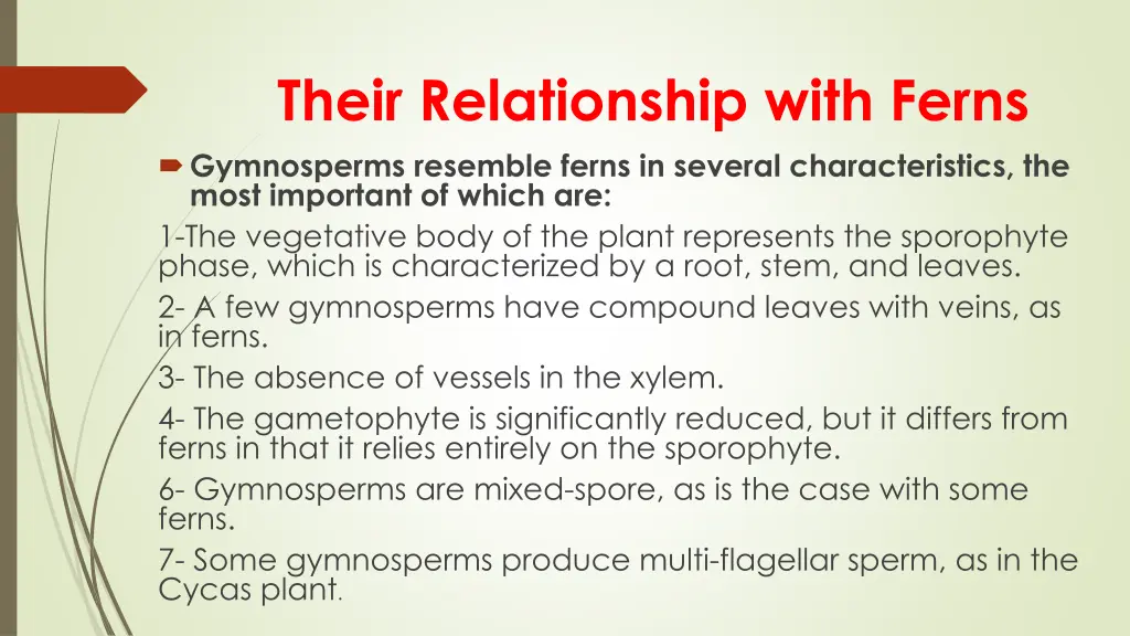 their relationship with ferns gymnosperms