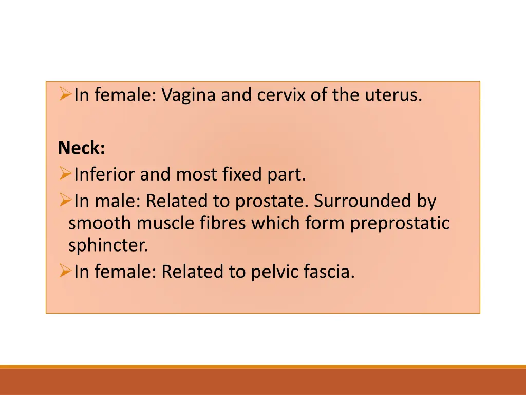 in female vagina and cervix of the uterus