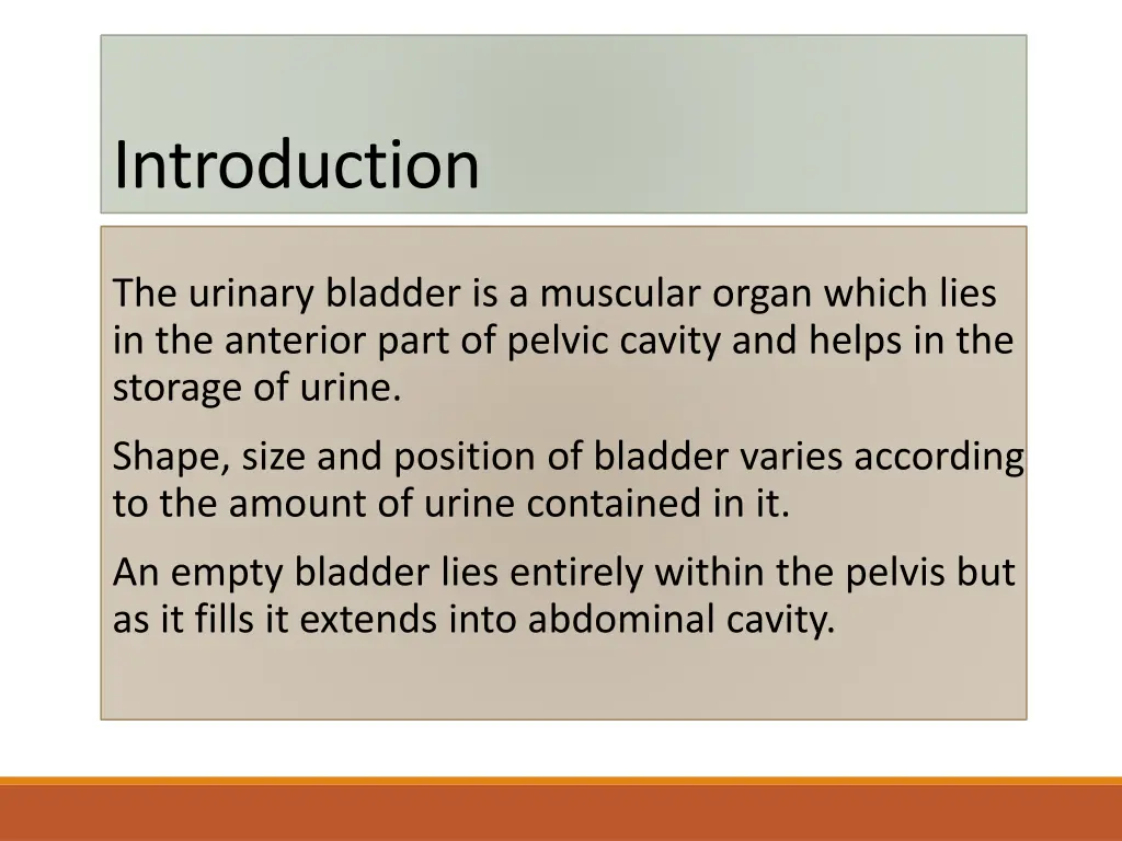 introduction