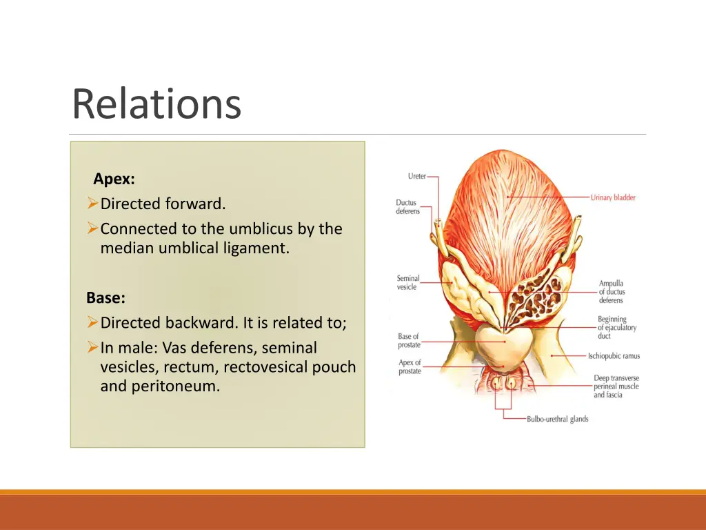 relations