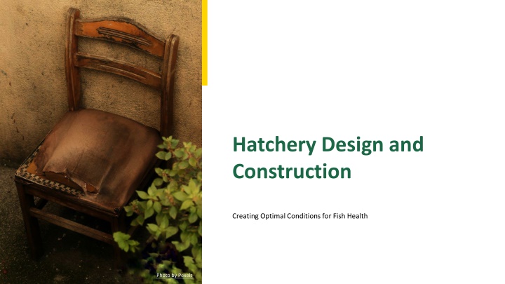hatchery design and construction