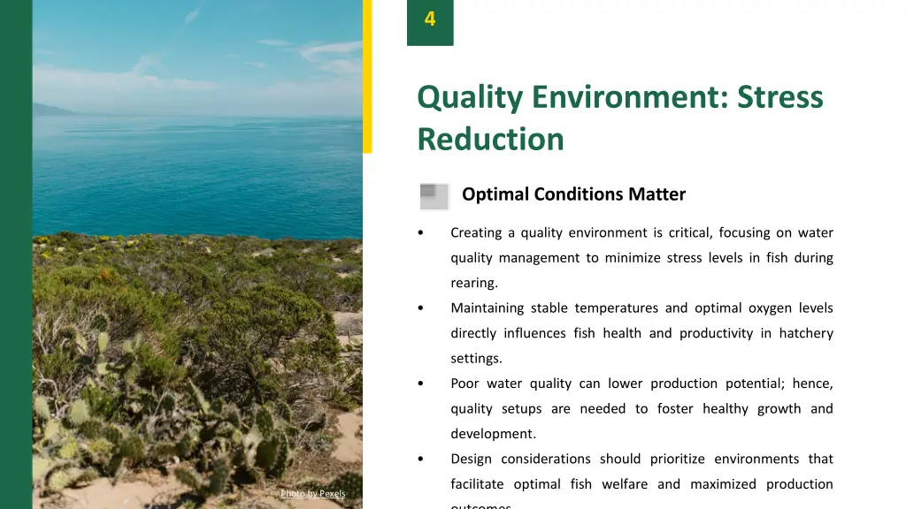 slide6