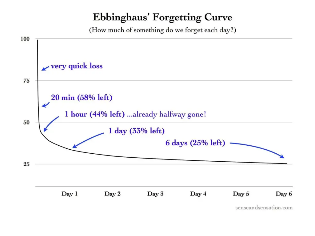 image result for ebbinghaus forgetting curve