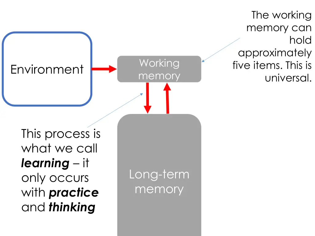 the working memory can