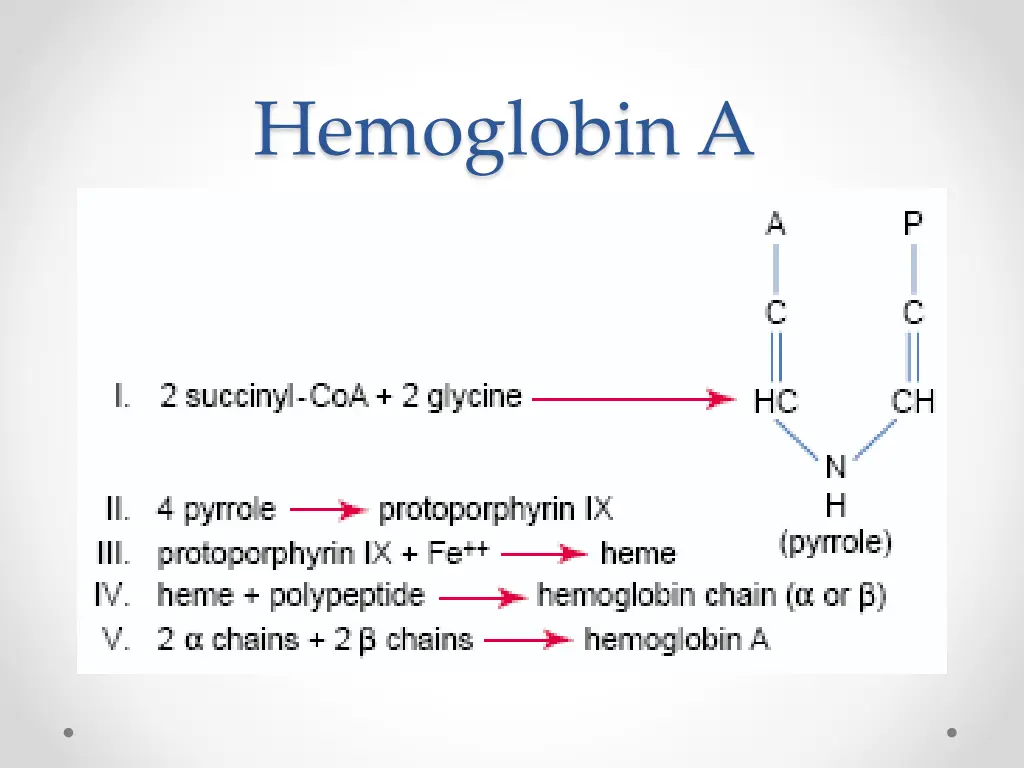 hemoglobin a