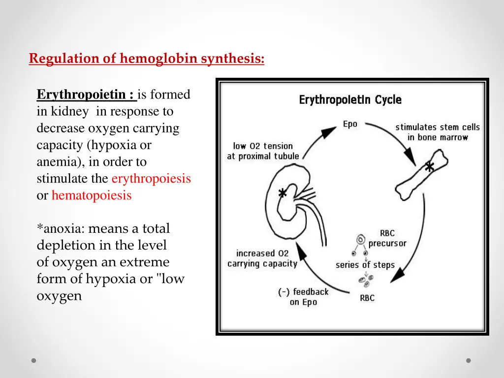 regulation of hemoglobin synthesis
