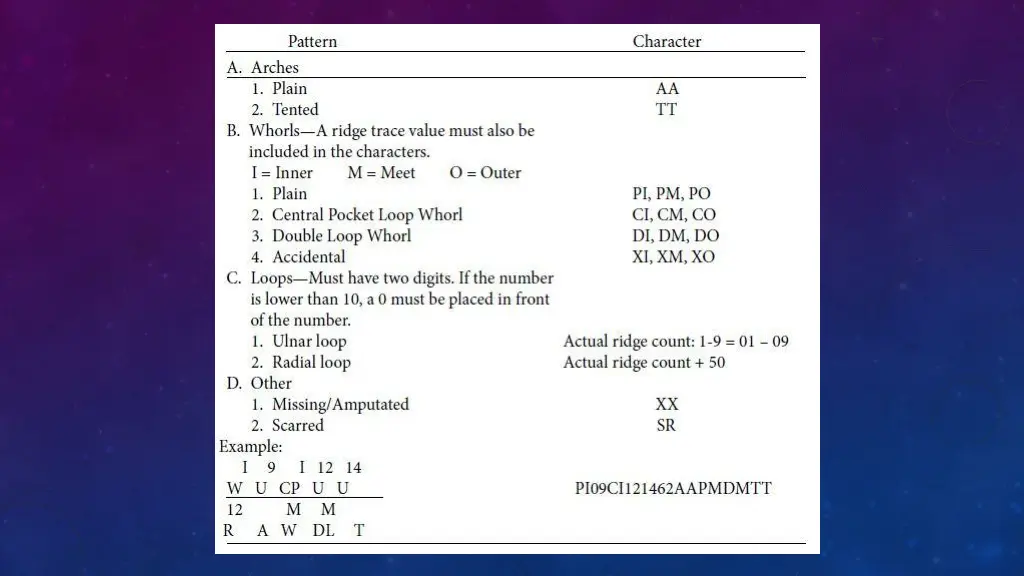 slide16