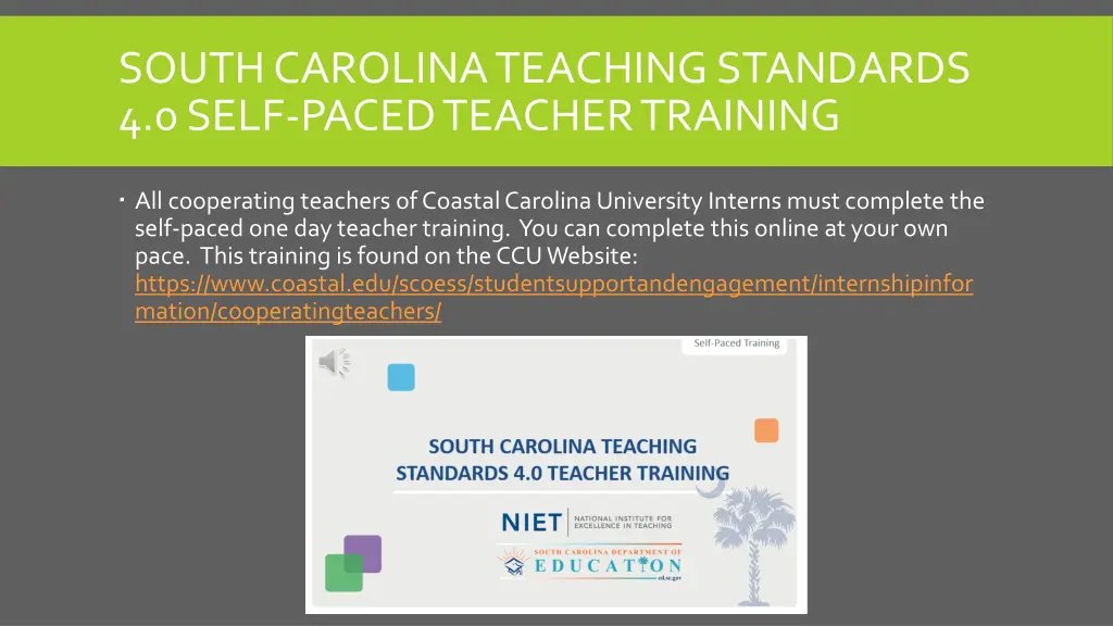 south carolina teaching standards 4 0 self paced