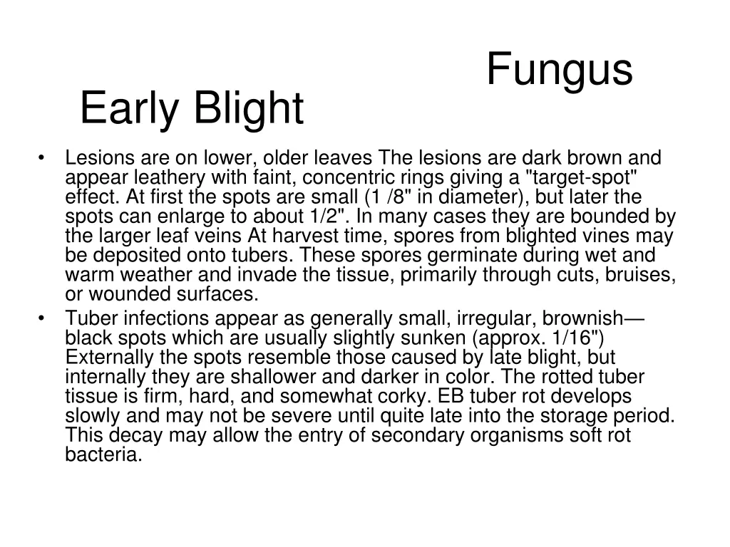 fungus 10