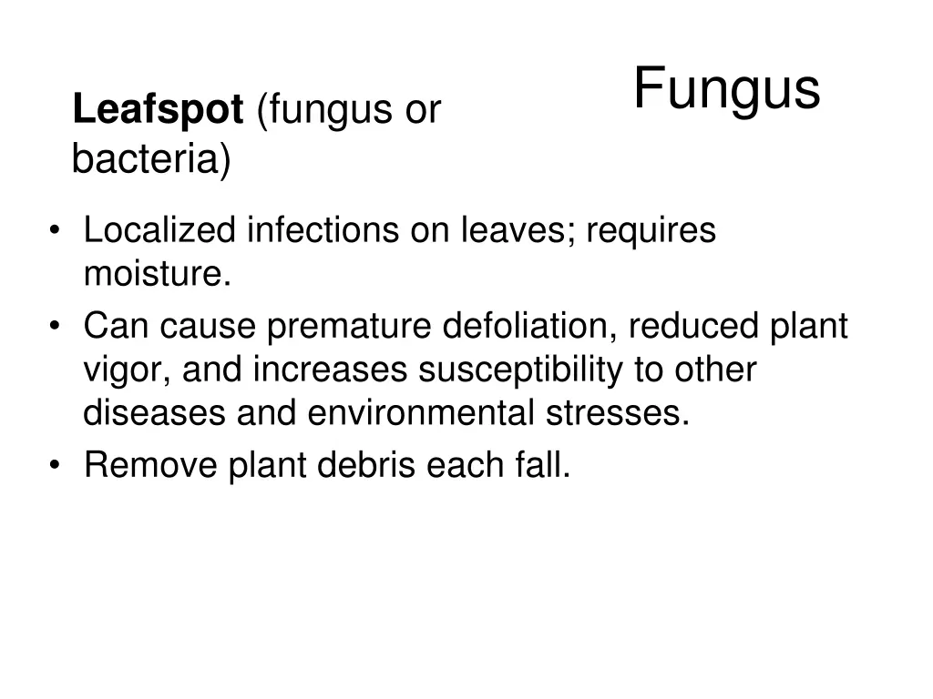 fungus 7