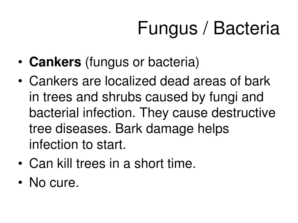 fungus bacteria