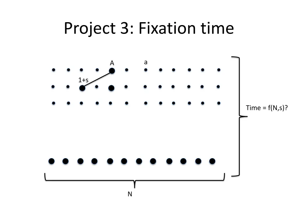 project 3 fixation time