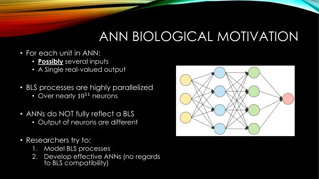 ann biological motivation 1
