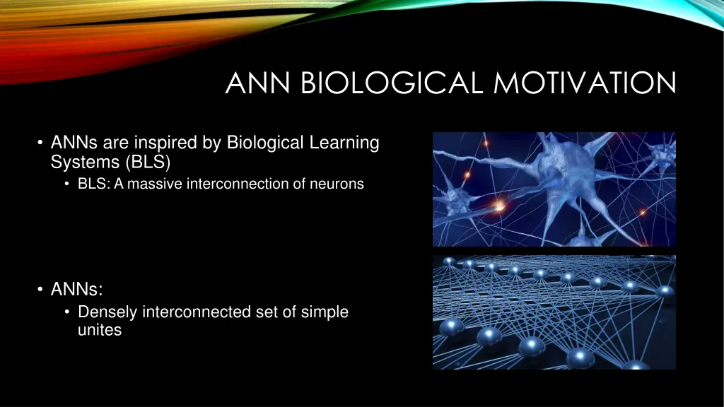 ann biological motivation