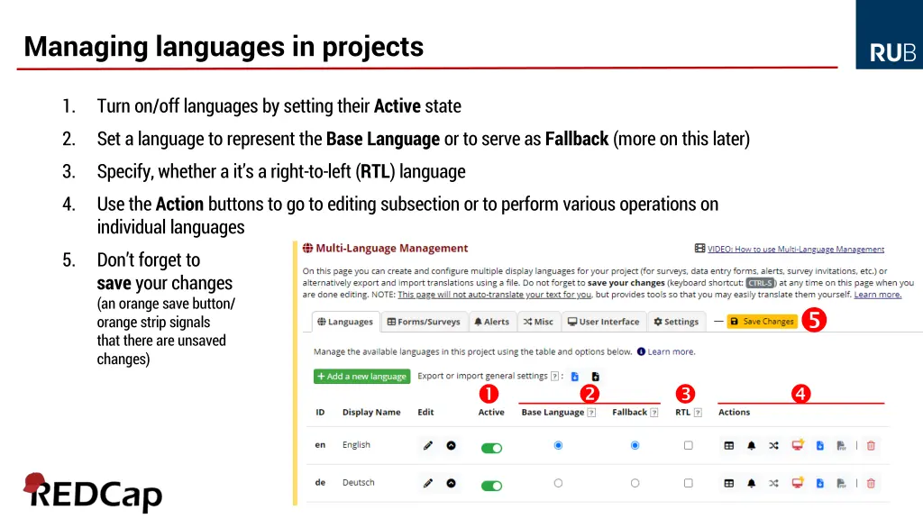 managing languages in projects