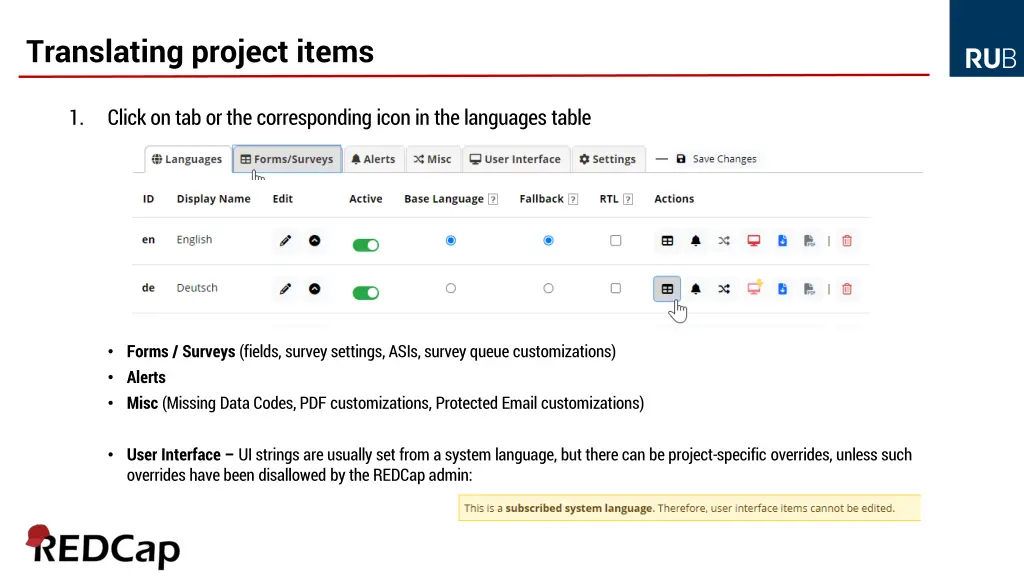 translating project items