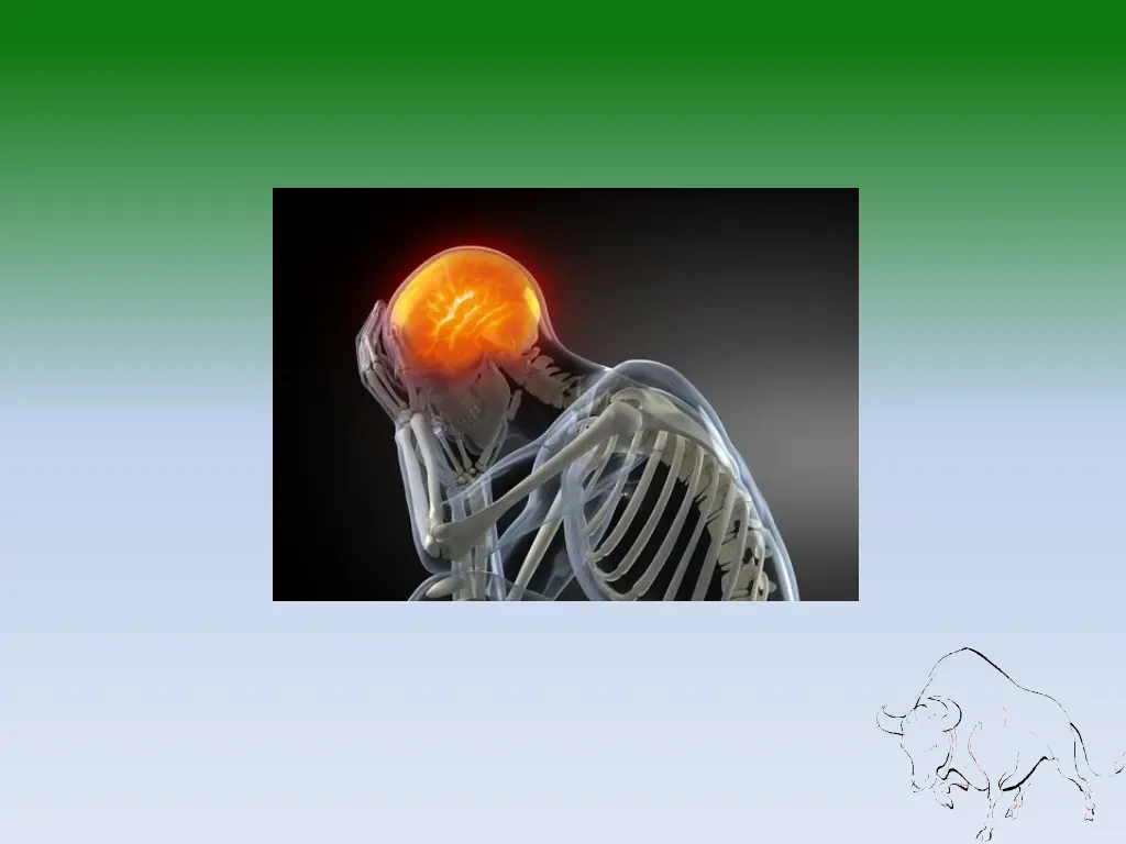 slide3