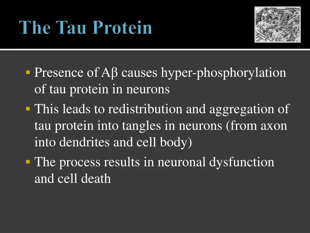 p resence of a causes hyper phosphorylation