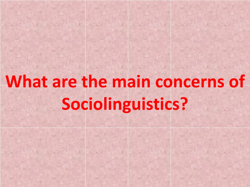 what are the main concerns of sociolinguistics