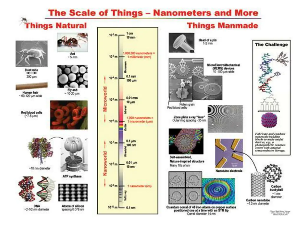 slide7