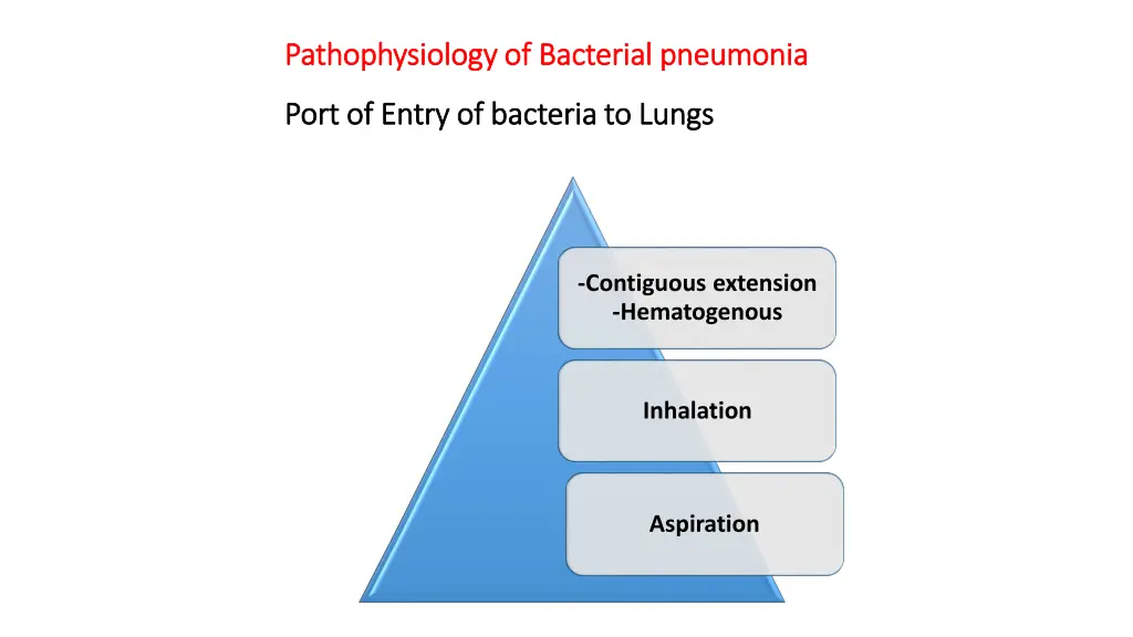 pathophysiology of bacterial pneumonia