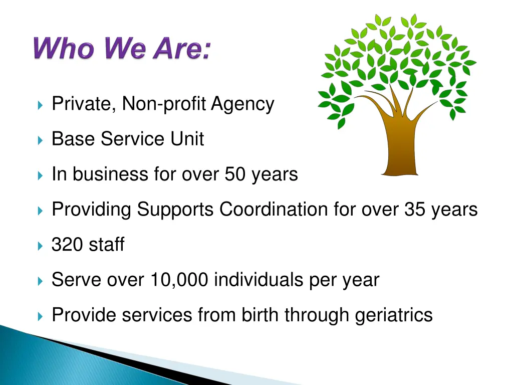 private non profit agency