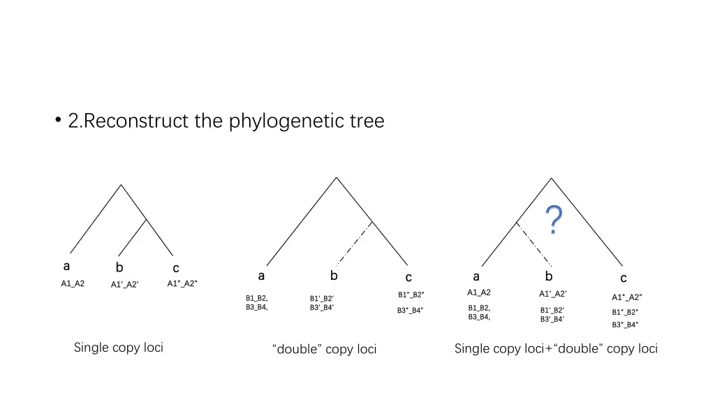 2 reconstruct the phylogenetic tree