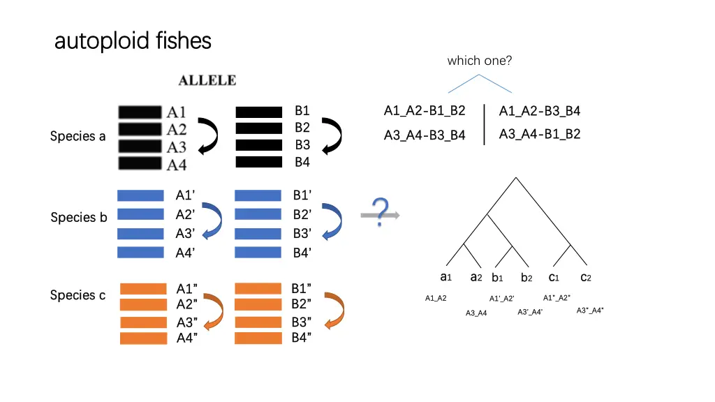 autoploid fishes autoploid fishes