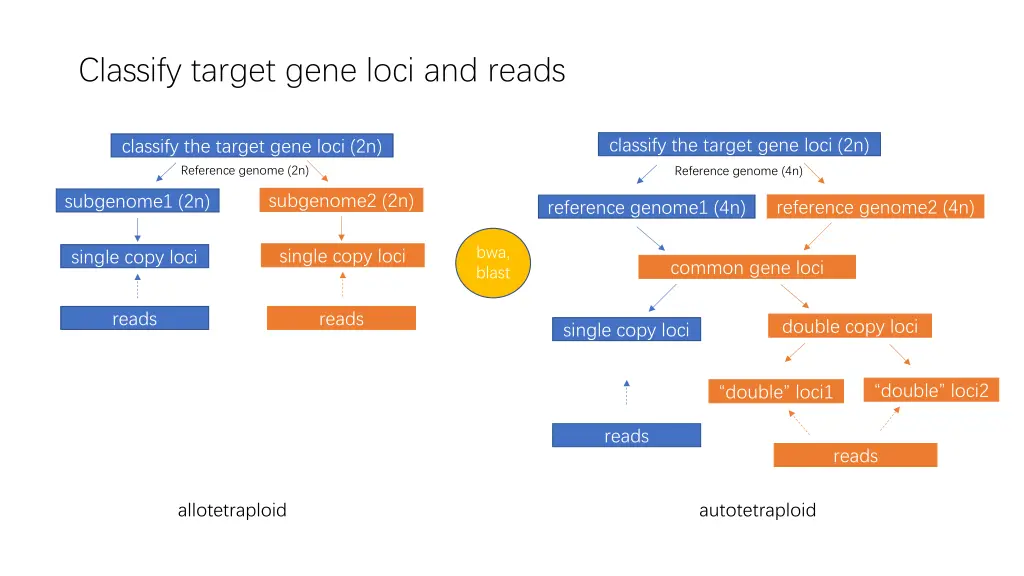 classify target gene loci and reads