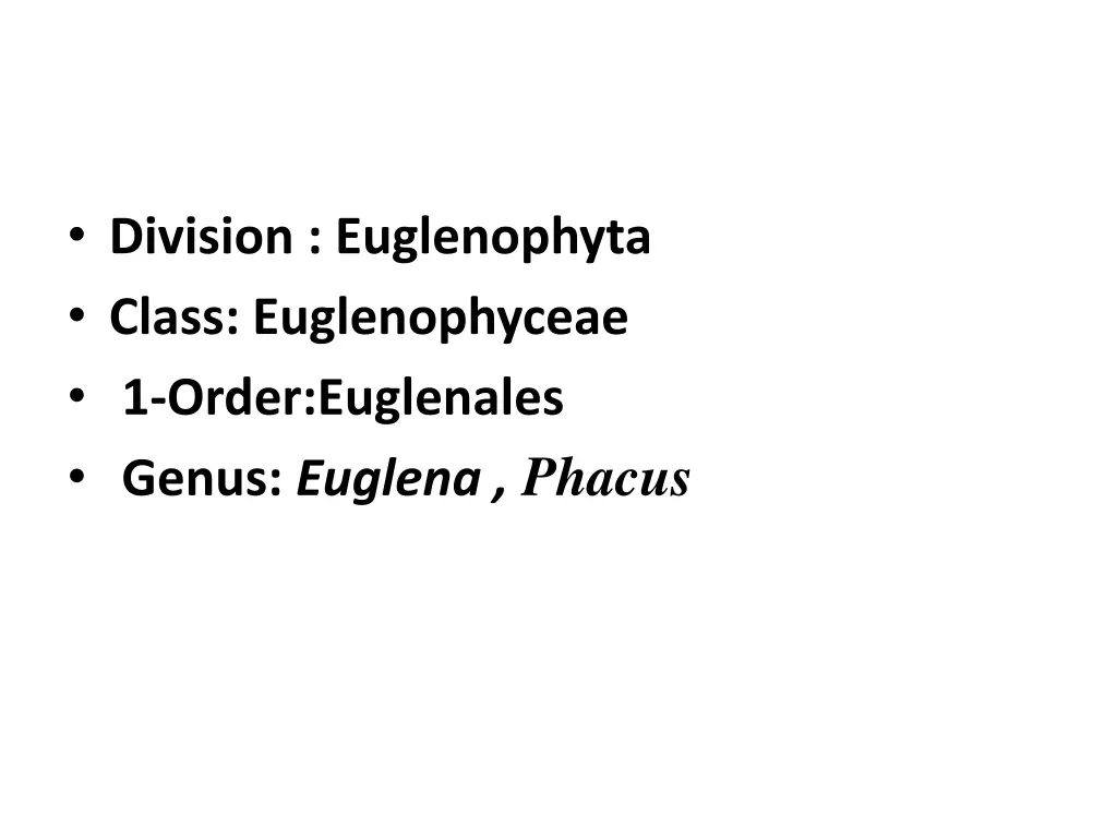 division euglenophyta class euglenophyceae