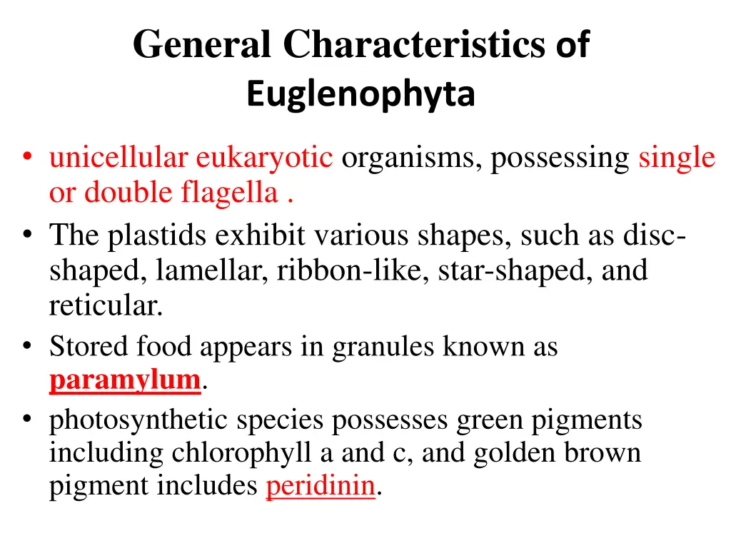 general characteristics of euglenophyta