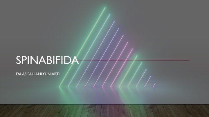 spinabifida