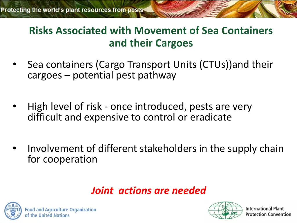 risks associated with movement of sea containers
