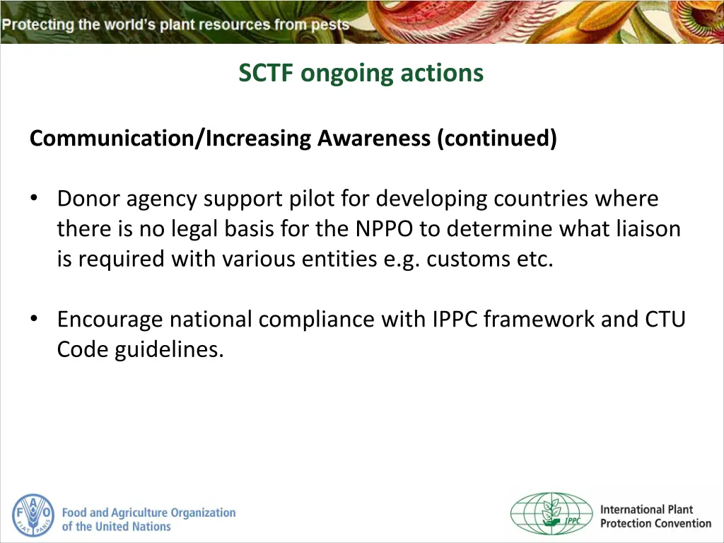 sctf ongoing actions 2