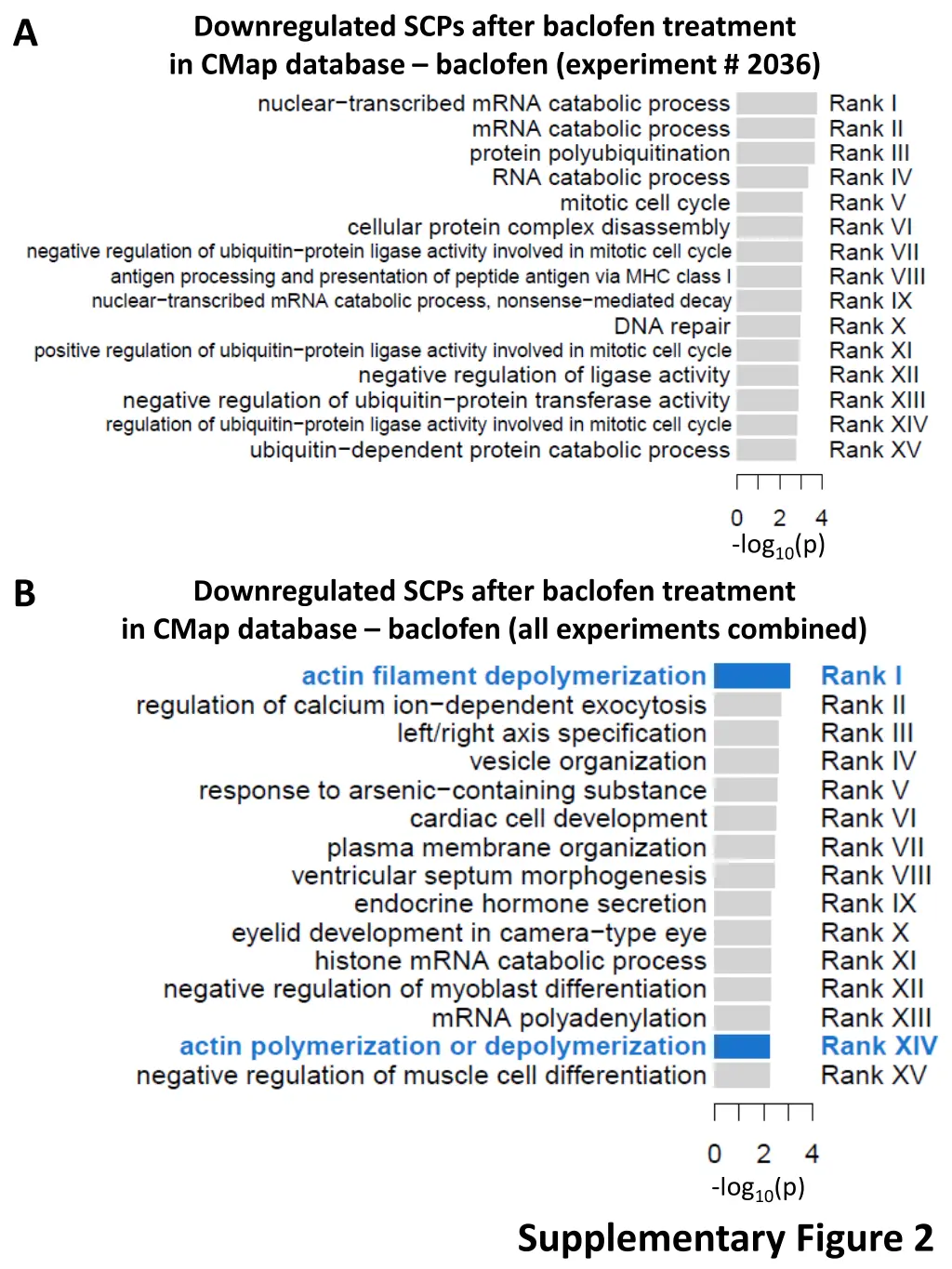 downregulated scps after baclofen treatment