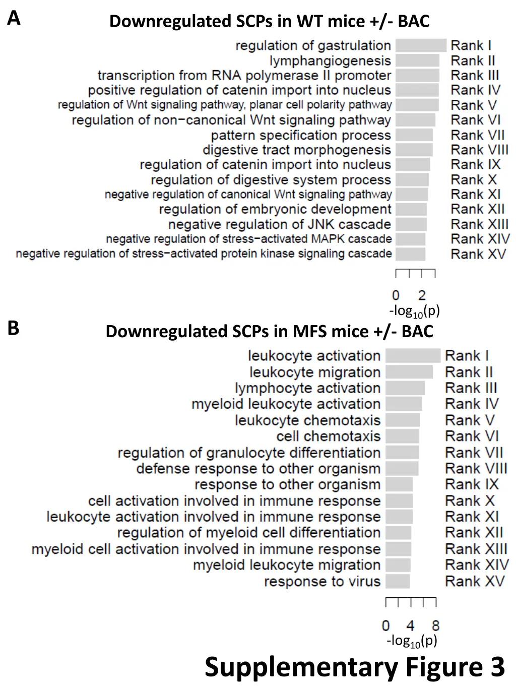 slide3