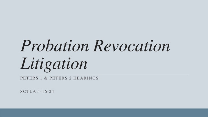 probation revocation litigation