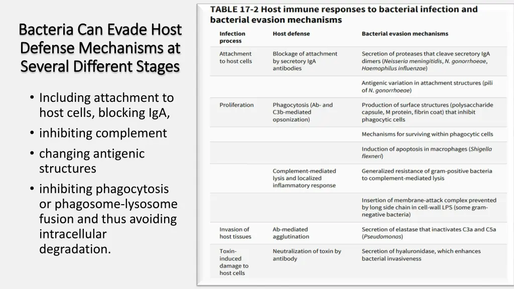bacteria can evade host bacteria can evade host