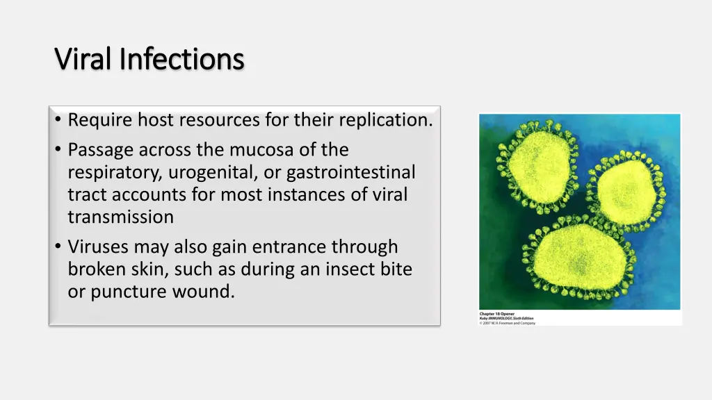 viral infections viral infections