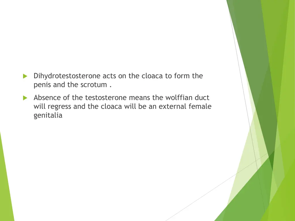dihydrotestosterone acts on the cloaca to form
