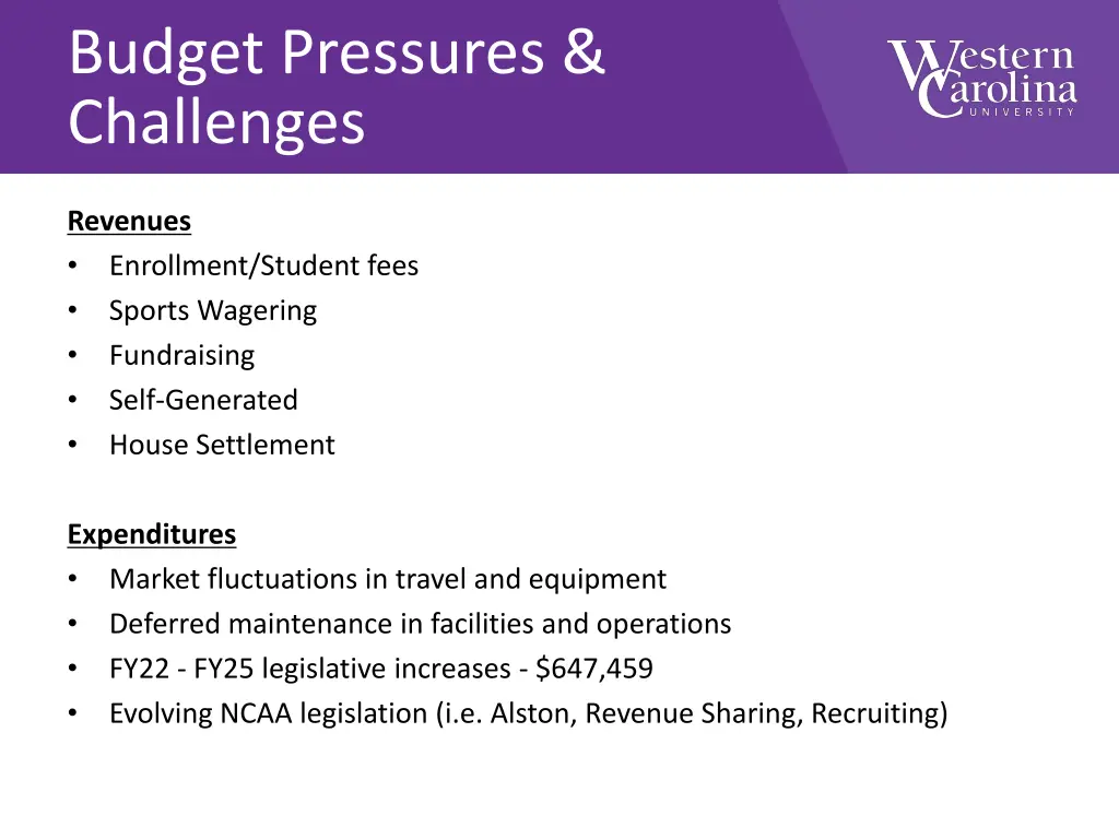 budget pressures challenges