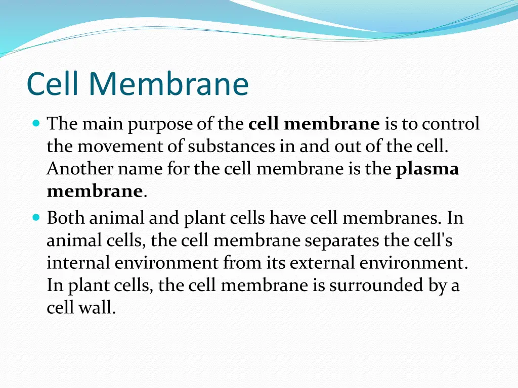 cell membrane