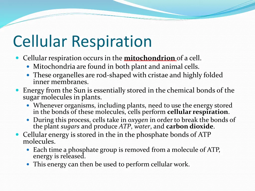 cellular respiration