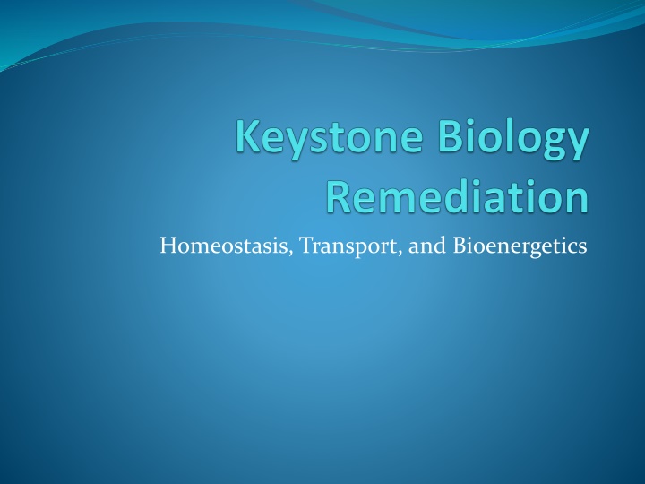 homeostasis transport and bioenergetics