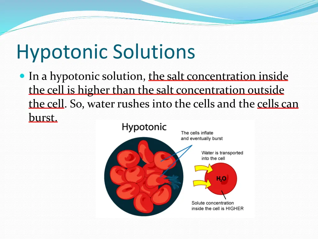 hypotonic solutions