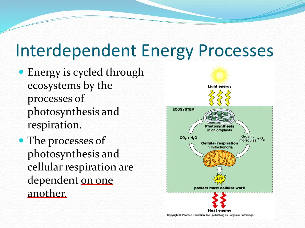 interdependent energy processes