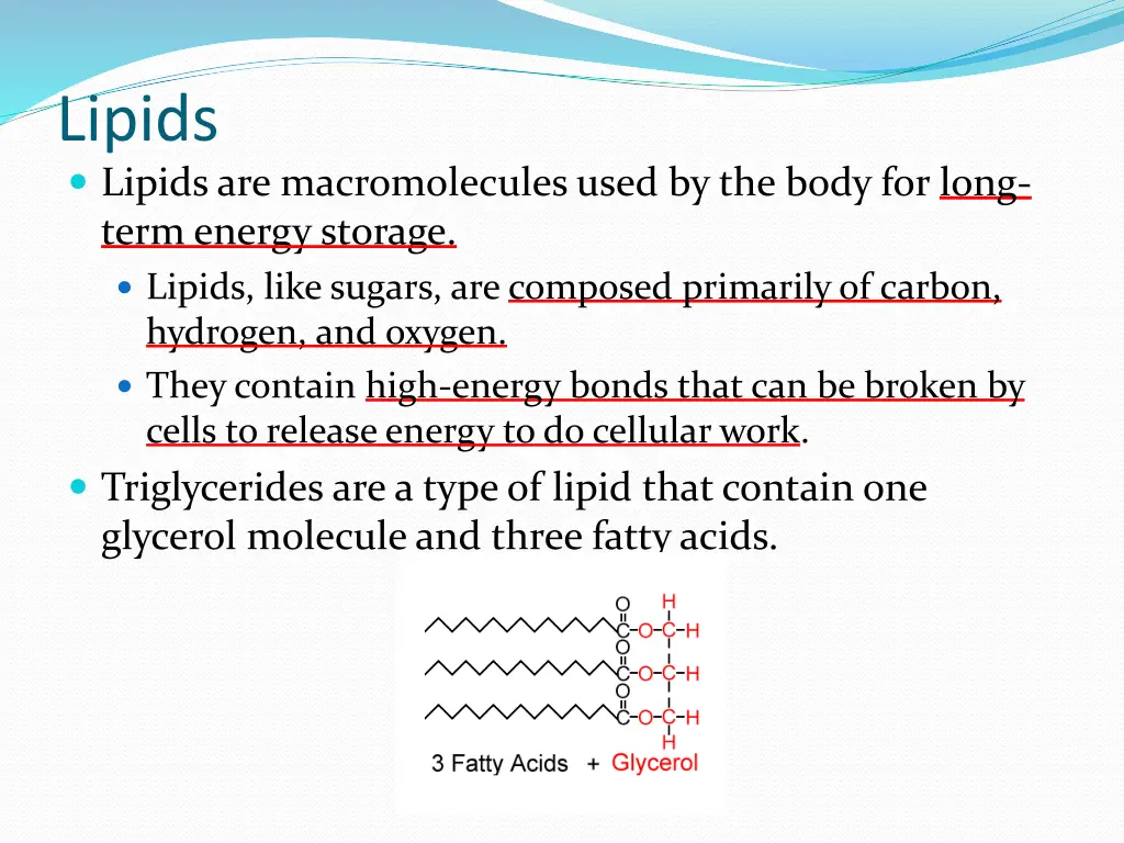 lipids lipids are macromolecules used by the body