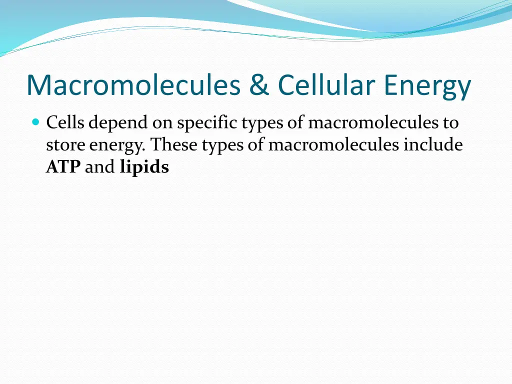 macromolecules cellular energy