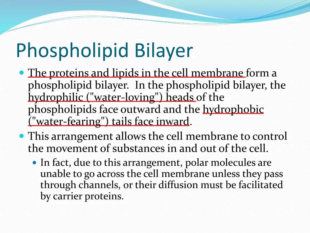 phospholipid bilayer the proteins and lipids